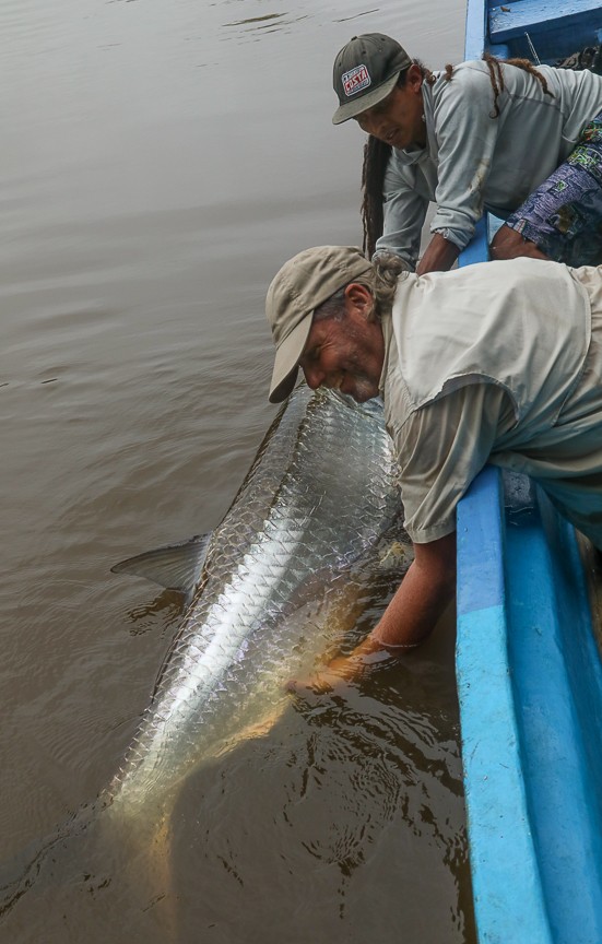 Jungle Tarpon Reserve Costa Rica Fly Fishing Costa Rica