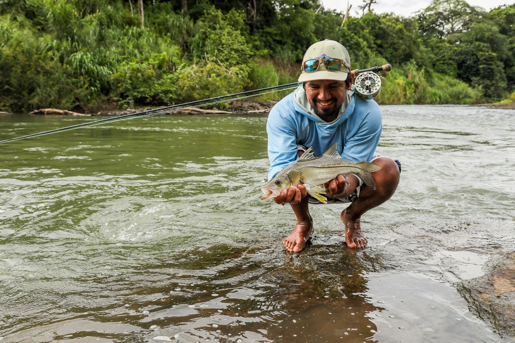 Fly Caught Snook in Costa Rican river