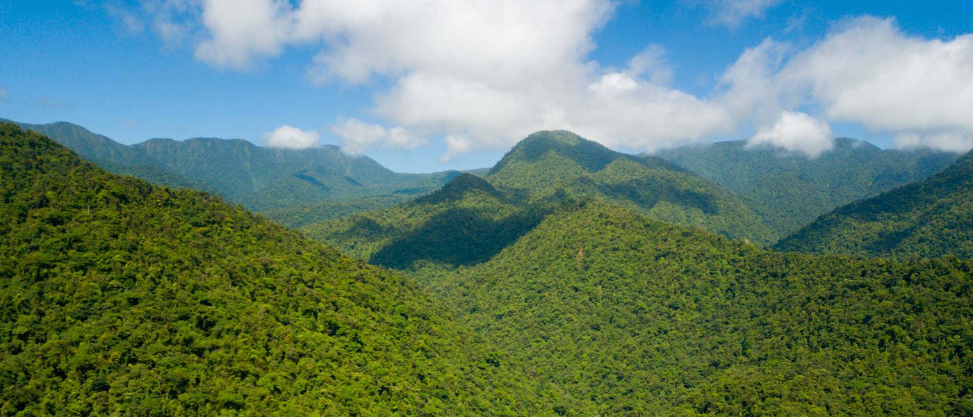 Traveling In Costa Rica Fly Fishing Costa Rica