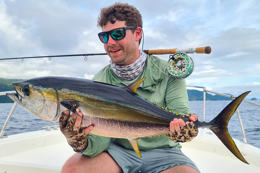 Fly caught yellowfin tuna in Bahia Solano, Colombia