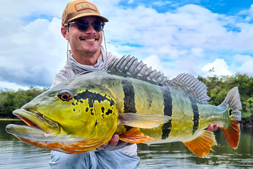 Fly fisherman with record peacock bass in Colombia. 