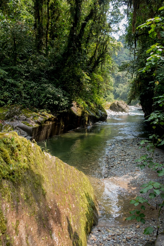 Remote canyon in Costa Rican jungle
