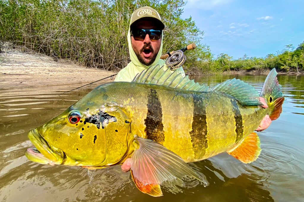 Fly fisherman with record peacock bass in Colombia. 