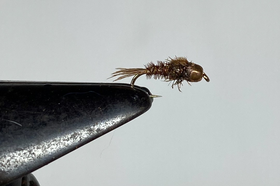 The Best Flies for Costa Rica Trout - Fly Fishing Costa Rica